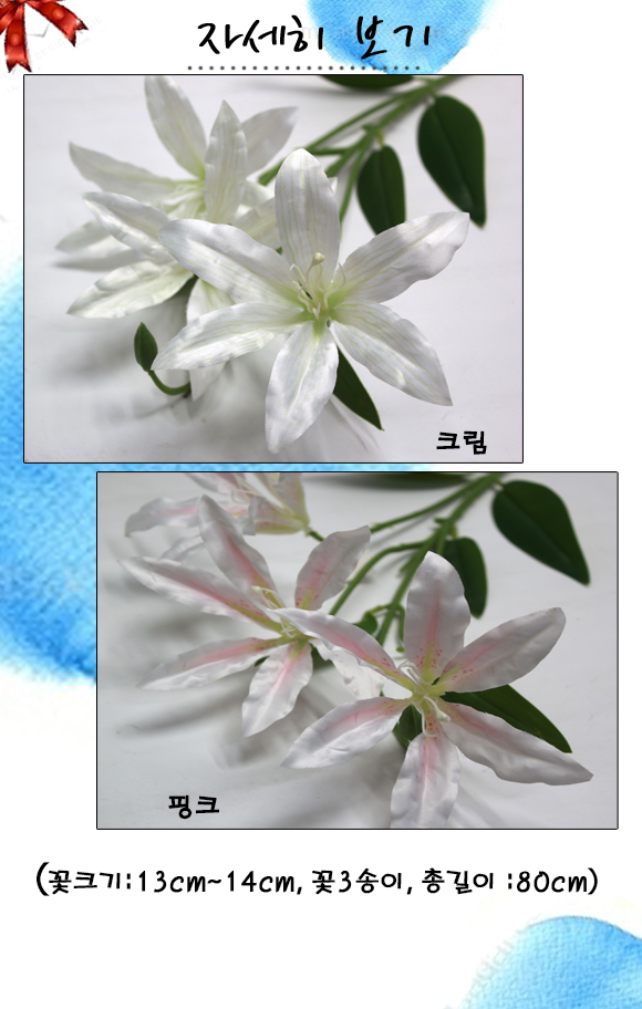 2e2dca477904661db8aae7571313a247_1773819