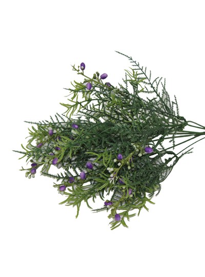 아스파라거스부쉬조화(보라)