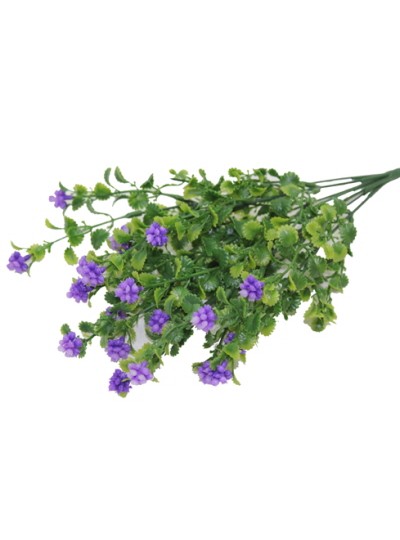 복분자조화(보라)