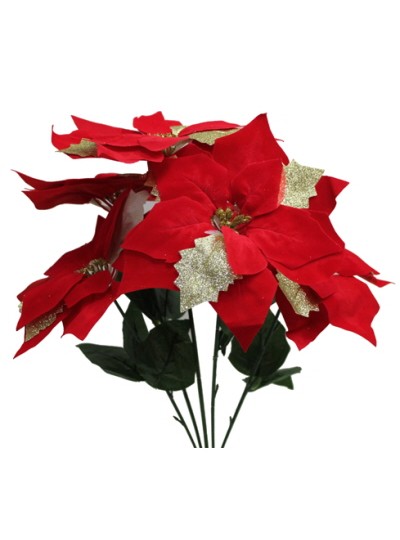 포인세티아大조화(5줄기)
