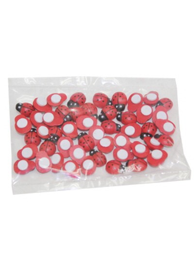 풍뎅이小(100개)1cm