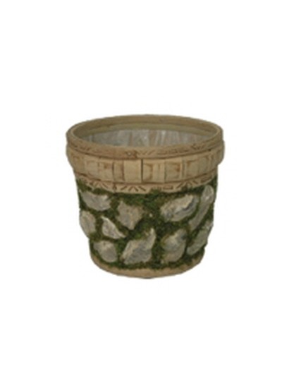 초화바구니굴껍질