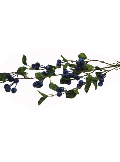 열매가지(파랑)