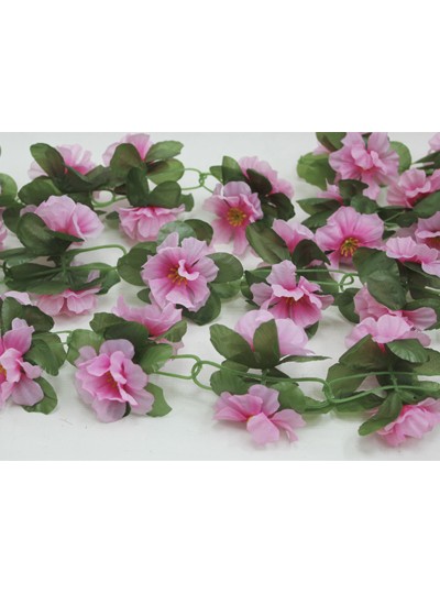 줄조화겹데이지(연핑크)