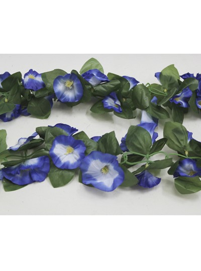 줄조화나팔꽃(파랑)