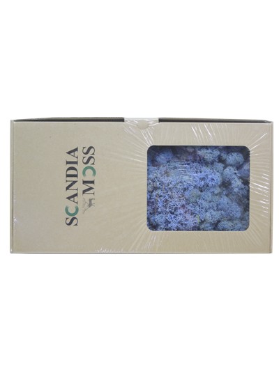 스칸디아모스(라벤더블루)500g