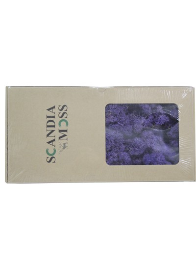 스칸디아모스(퍼플)500g