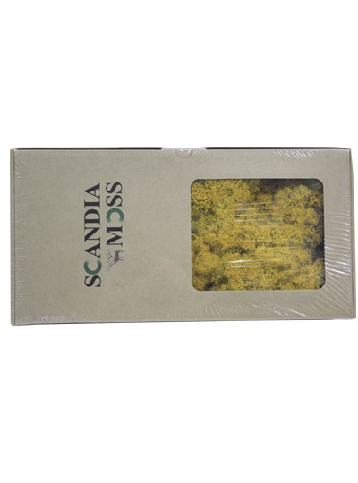 스칸디아모스(옐로우)500g