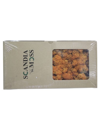 스칸디아모스(어텀)500g