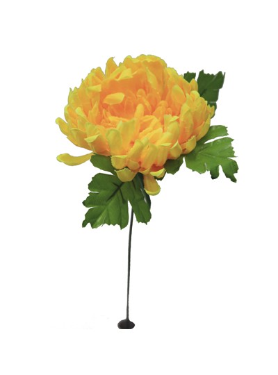 국화大(노랑)10개