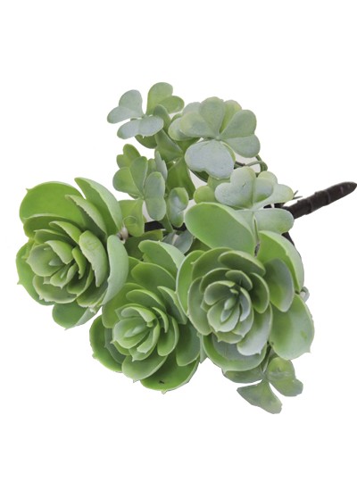 다육조화(백모단)