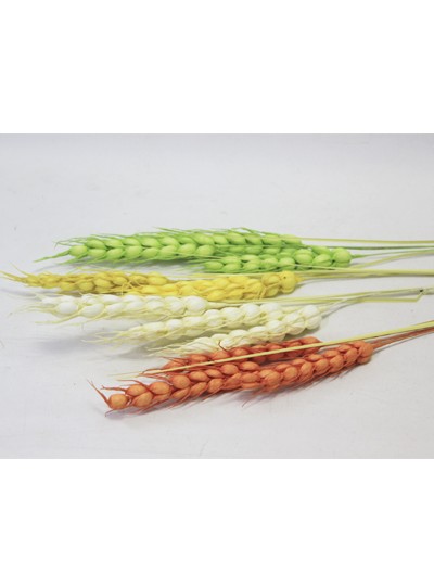 보리조화小(3개)