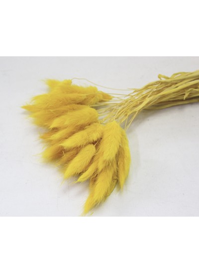 라그라스(노랑)