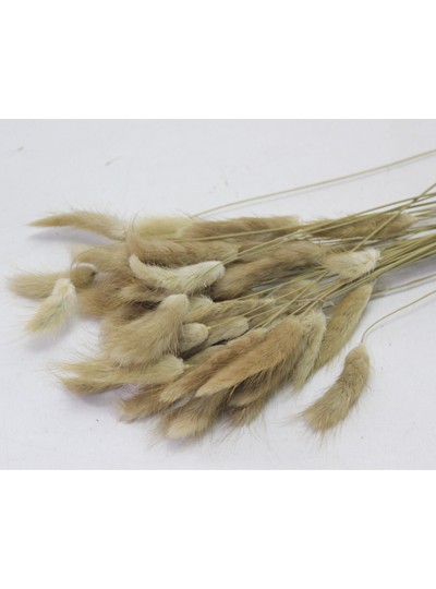 라그라스(자연색)