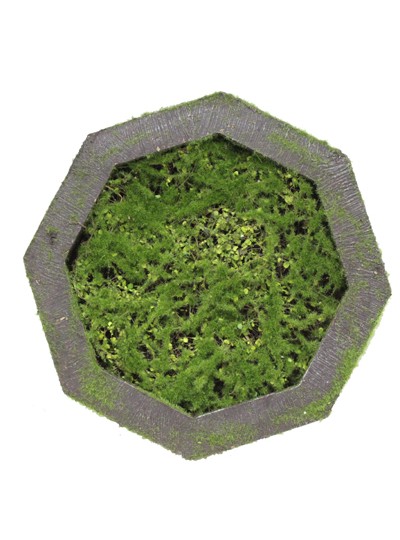 인조이끼액자(소,중,대)