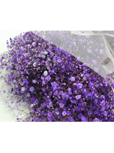 프리져브드안개(보라)약380g