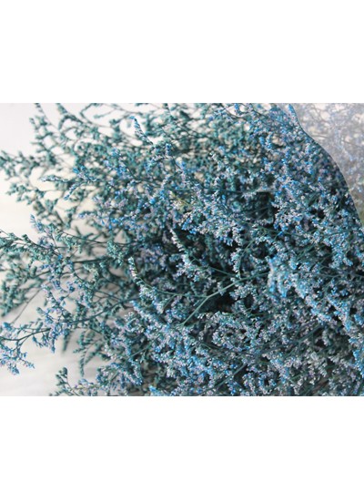 미스티블루프리져브드(블루)200g중국