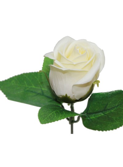 비누장미엘레강스후레쉬(아이보리)50개