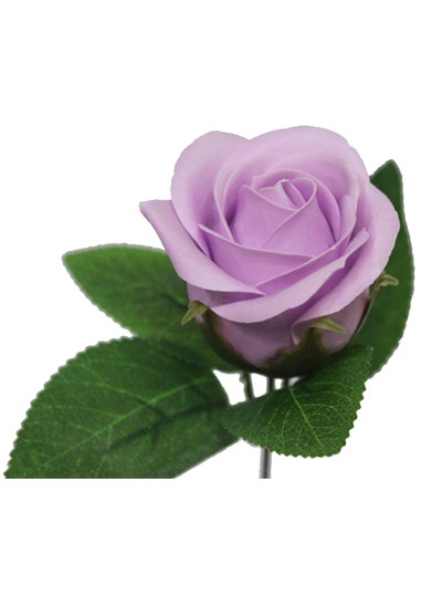 비누장미엘레강스후레쉬(연보라)50개