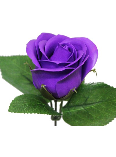 비누장미엘레강스후레쉬(진보라)50개