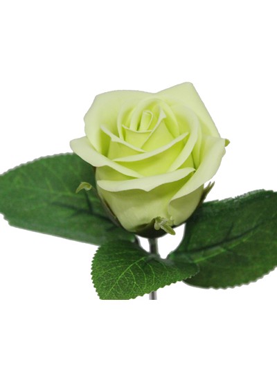 비누장미엘레강스후레쉬(연연두)50개