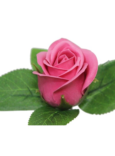 비누장미엘레강스후레쉬(뉴욕핑크)50개