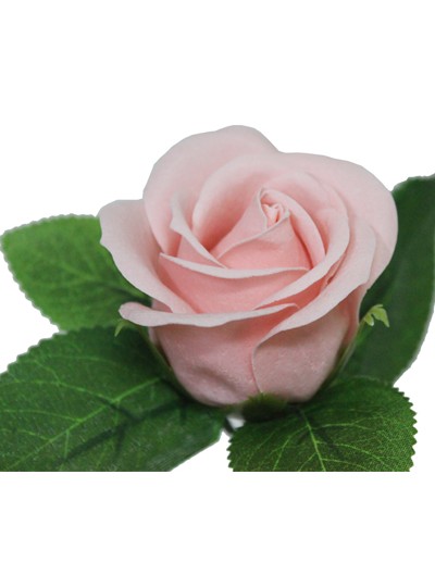 비누장미엘레강스후레쉬(살몬핑크)50개