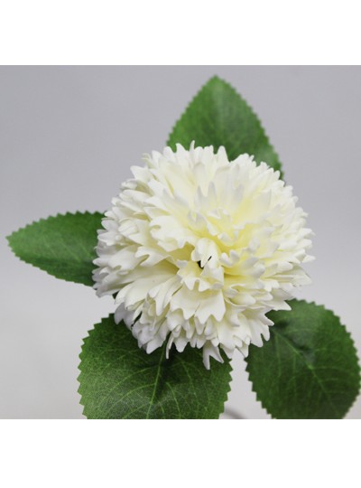 신)엘레강스 비누카네이션(아이보리)50개