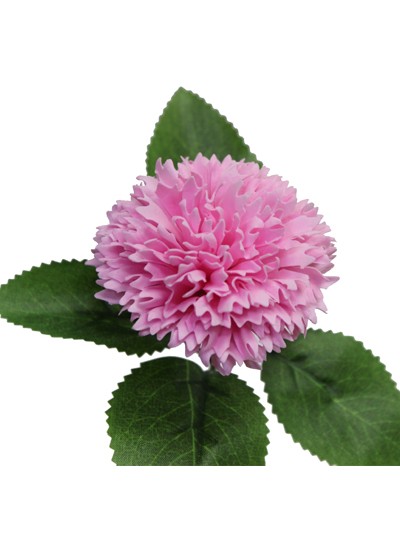 신)엘레강스 비누카네이션(연핑크)50개