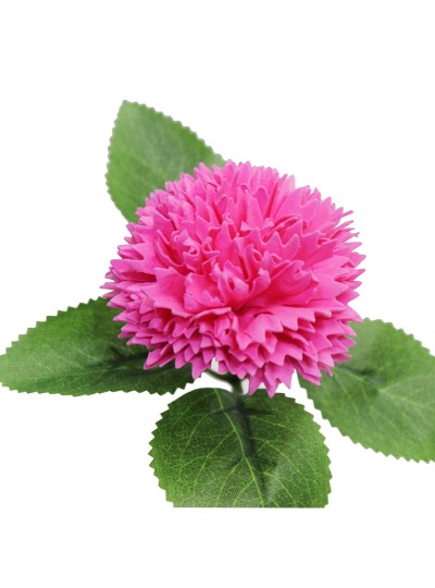 신)엘레강스 비누카네이션(진핑크)50개