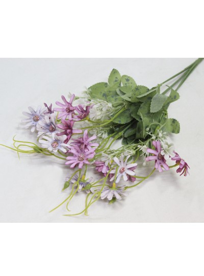 틸란데이지부쉬조화(보라)6줄기