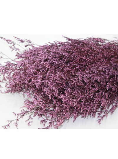 미스티블루프리져브드(핑크)중국300g