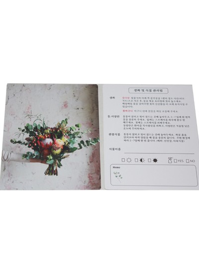 식물관리법카드부케(10장)11.5cm*14.5cm