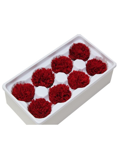 프리져브드카네이션(빨강)8개