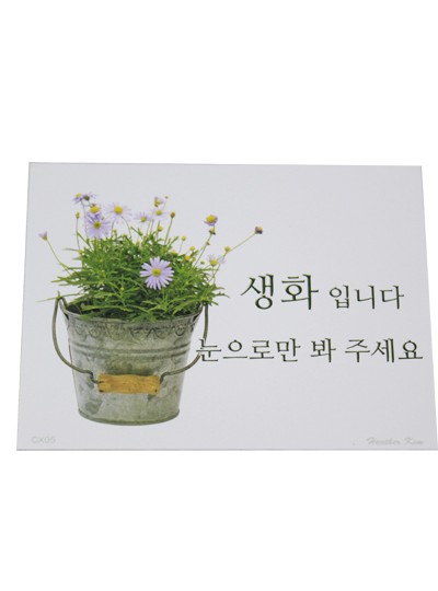 이지픽C생화입니다(12장)10.5cm*8cm