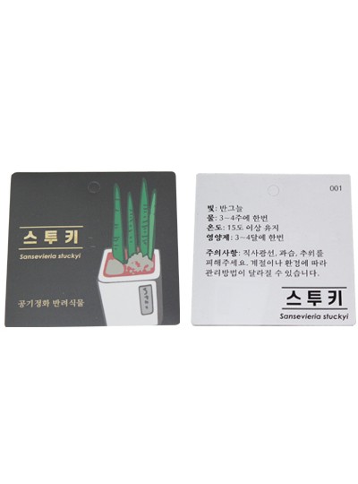 방수식물이름표(스투키)30장(7cm*7cm)