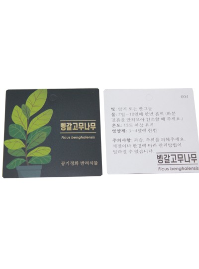 방수식물이름표(뱅갈고무나무)30장(7cm*7cm)