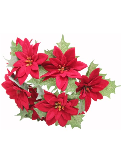 벨벳포인세티아 미니7줄기)