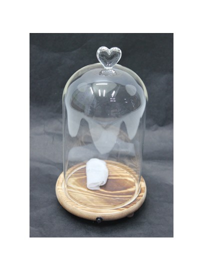 유리돔中(14cm*26cm)