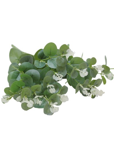 유칼립투스조화부쉬