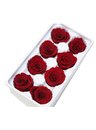 장미프리져브드(진빨강)