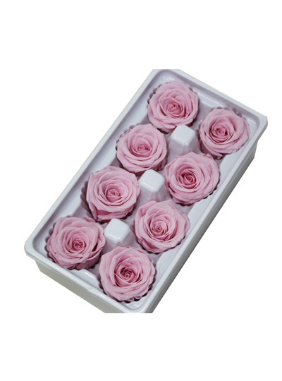 장미프리져브드(연핑크)10송이