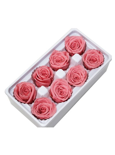 장미프리져브드(핫핑크)