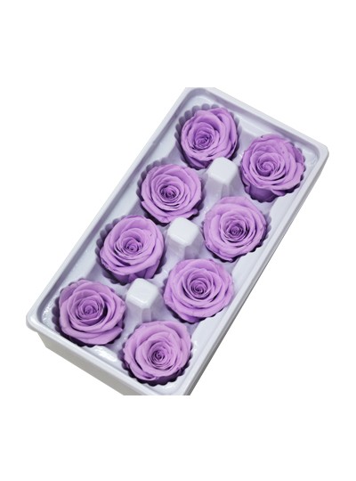 장미프리져브드(연보라)