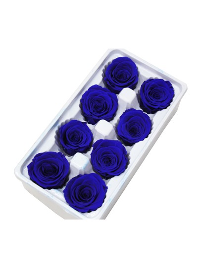 장미프리져브드(진블루)