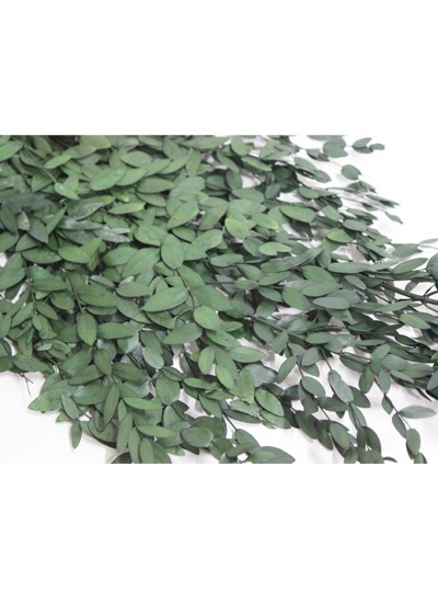 파블로 프리져브드(115g)