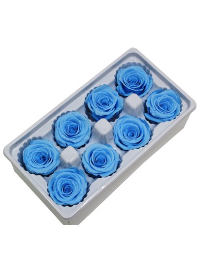 장미프리져브드(스카이블루)8송이