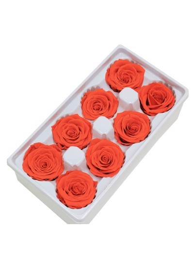 장미프리져브드(오렌지)8송이