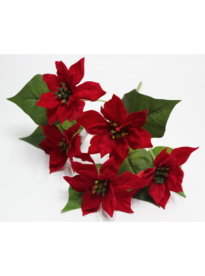 벨벳N포인세티아조화소(5줄기)