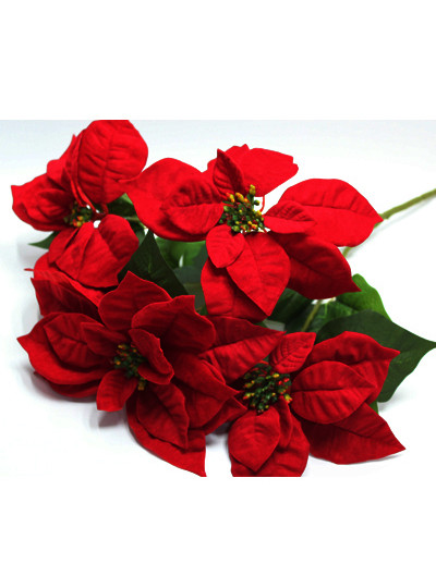 벨벳LG포인세티아조화 대(5줄기)